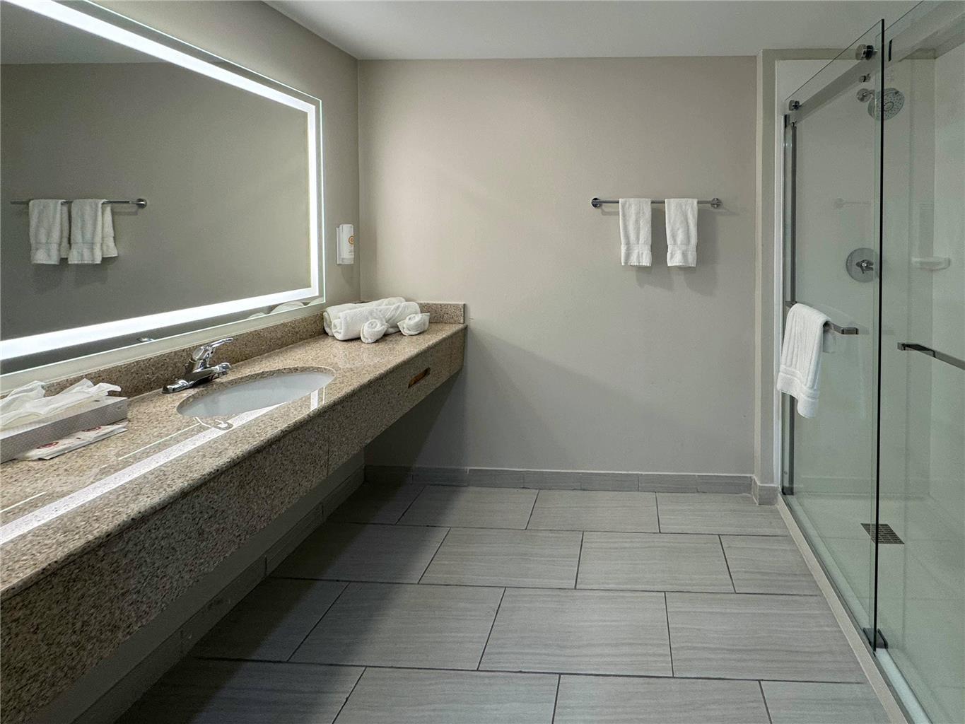 Comfort Inn & Suites Syracuse Carrier Circle - photo 19
