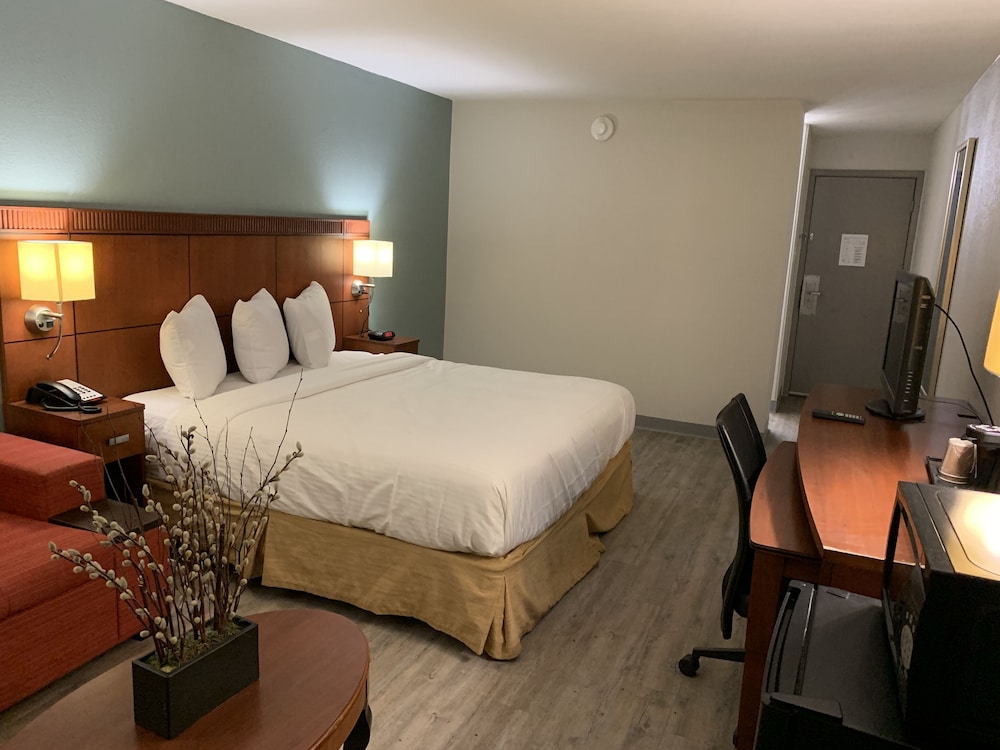 The Hotel Orange - photo 4