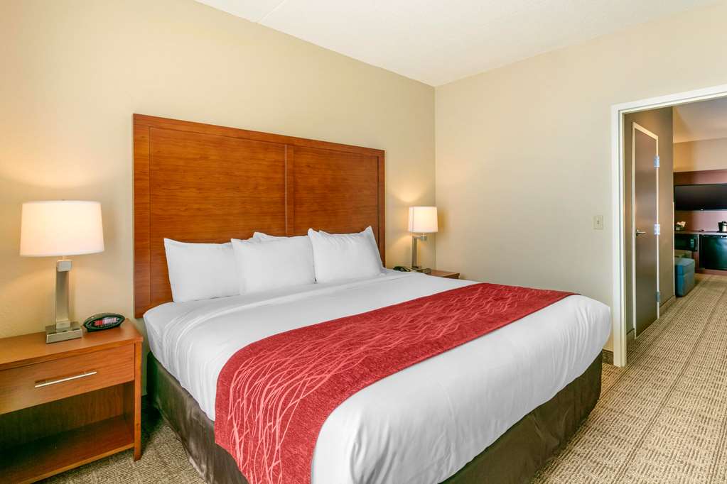 Comfort Inn & Suites Nashville Franklin Cool Springs - photo 21