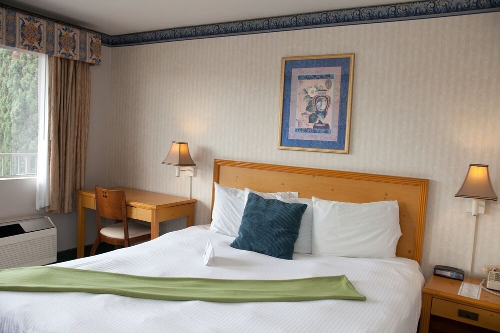 Bay Inn and Suites at Seaworld - photo 8
