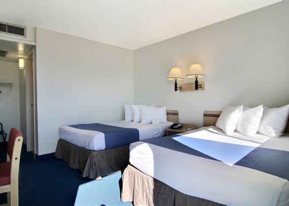Gazelle Stay - photo 3