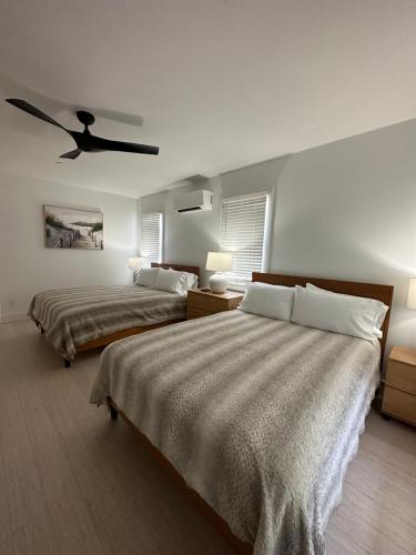 Elaine's Cape May Boutique Hotel - photo 6