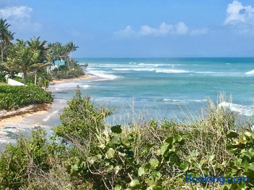 Tranquility by the Sea — Vieques — photo 4