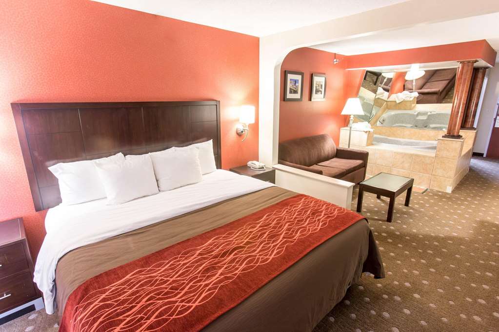 Comfort Inn Pittsburgh Crafton - photo 22