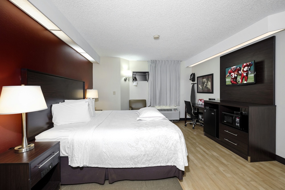 Red Roof Inn Plus Palm Coast - photo 10