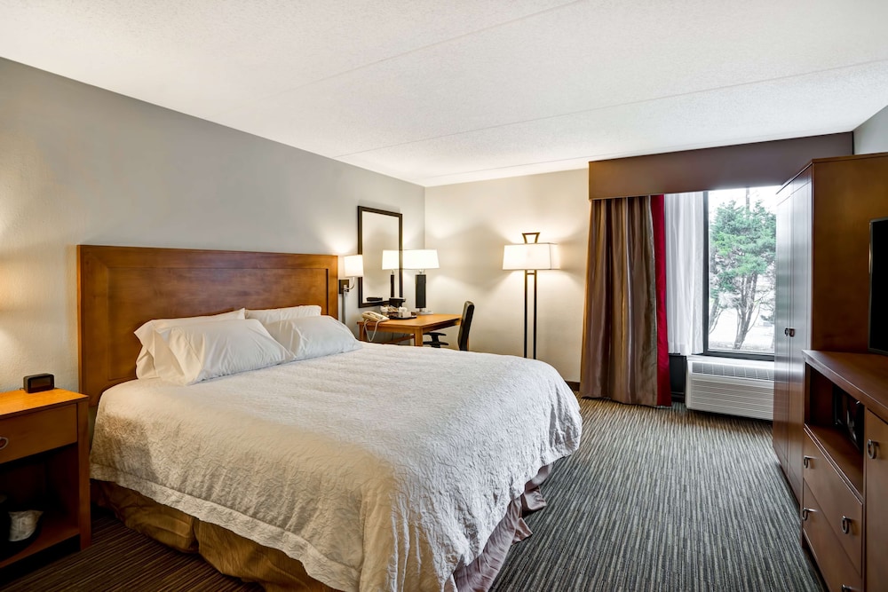 Hampton Inn Norfolk Naval Base - photo 19