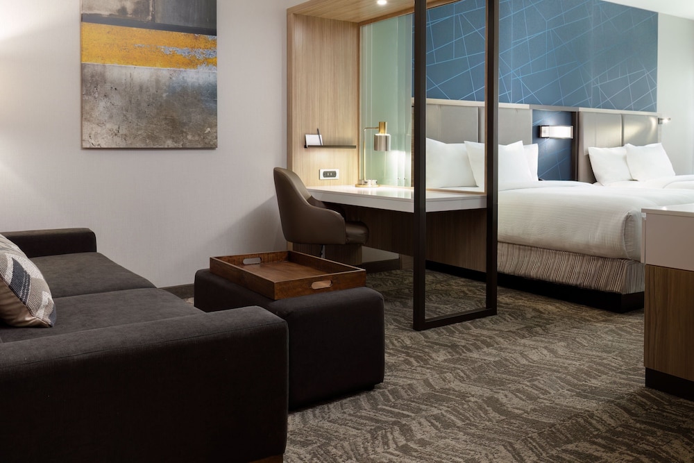 SpringHill Suites by Marriott Pleasanton - photo 11