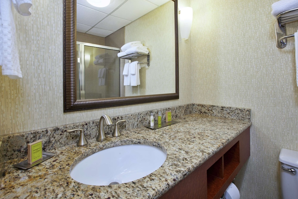 DoubleTree by Hilton Holland - photo 33