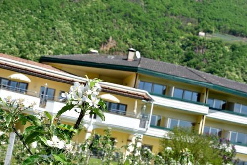 Hotel Greifenstein — Terlano