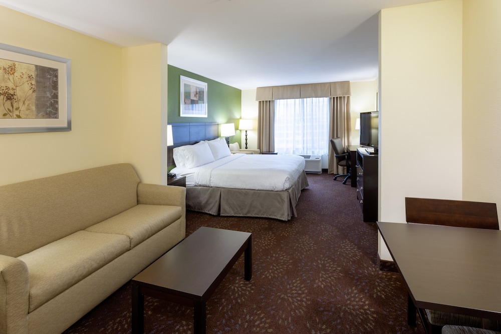 Holiday Inn Express & Suites Rochester Mayo Clinic Area by IHG - photo 7
