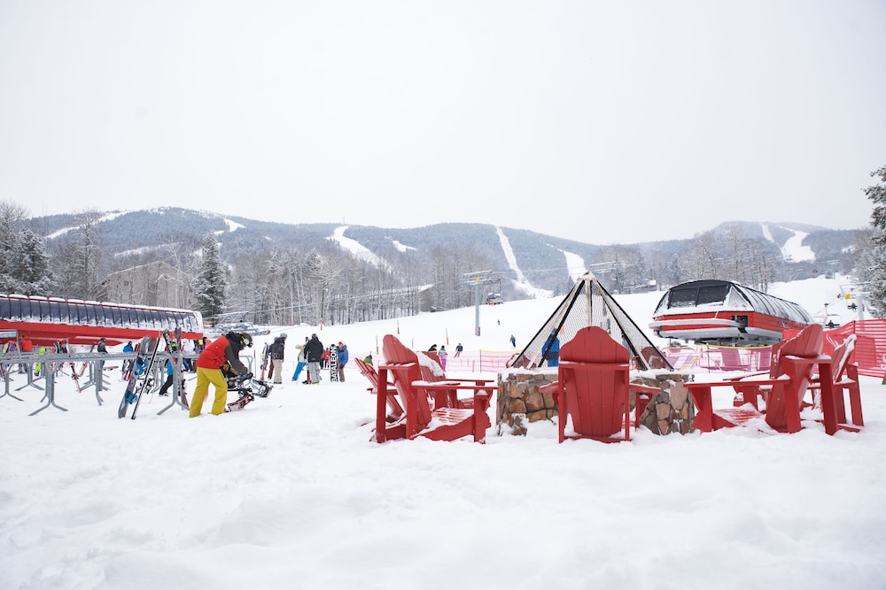 Snow Cap Inn - photo 16