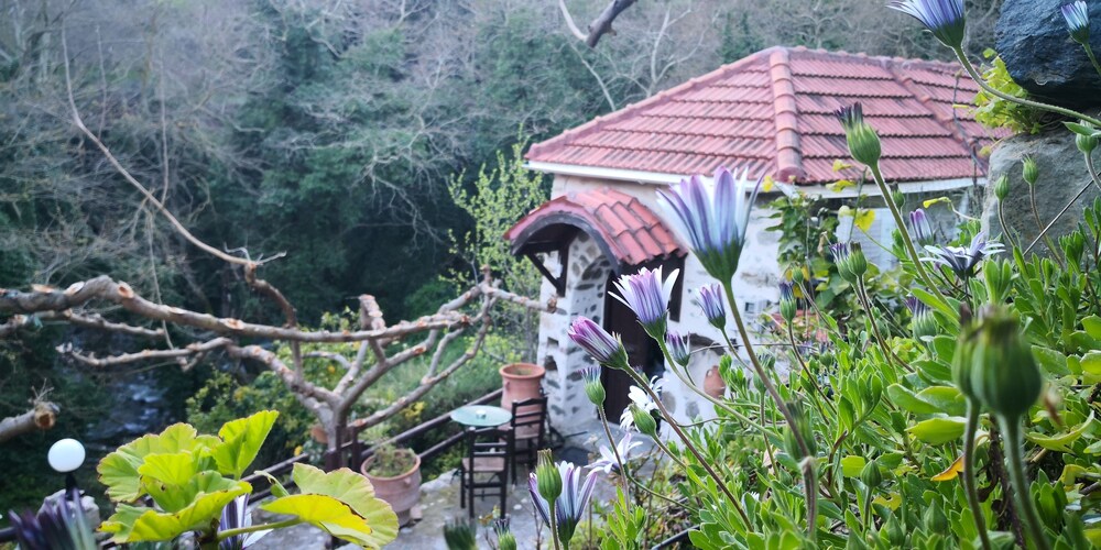 River Paradise - last minute hotel in Agios Vasileios