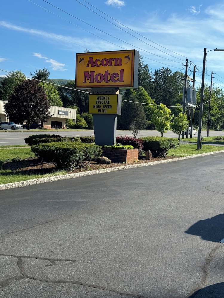 Acorn Motel - photo 22
