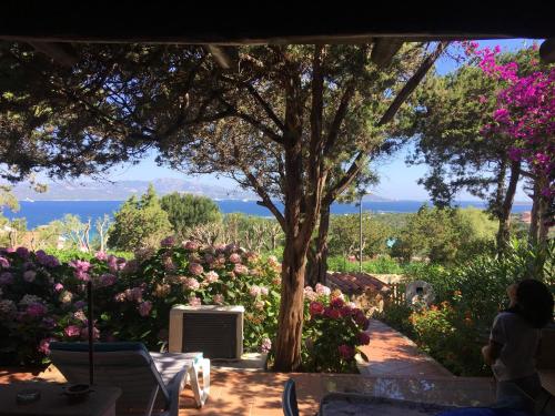 Punta Lada — 4-Star Luxury Hotel in Olbia, Italy