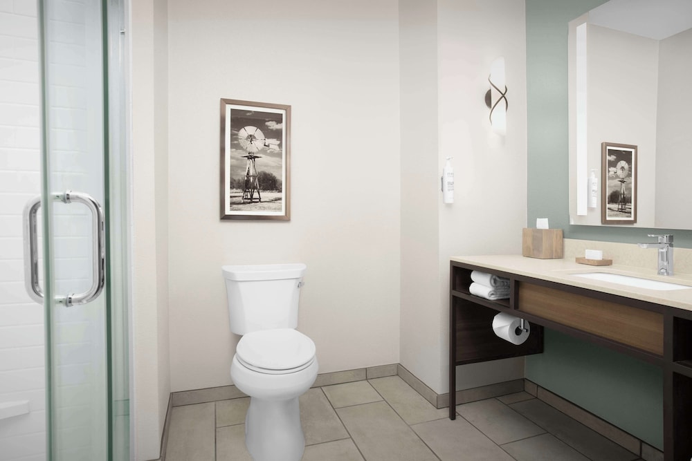 Hilton Garden Inn Granbury - photo 27