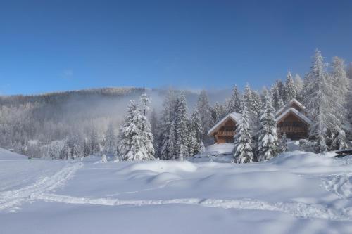 Bründl Chalets Hochrindl - carbon neutral hotel in Unknown City