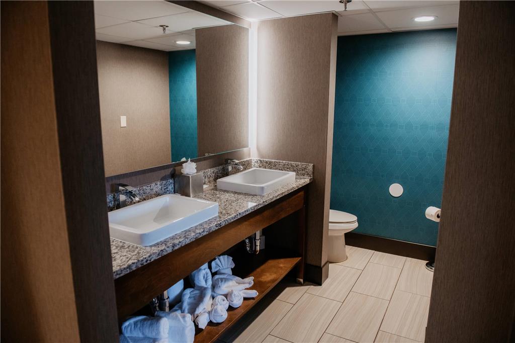 Radisson Hotel St. Paul Downtown - photo 6
