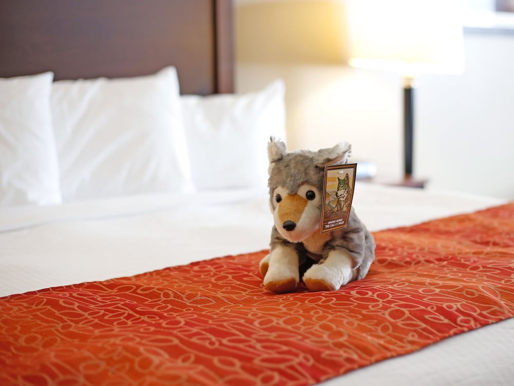 Gray Wolf Inn & Suites - photo 16