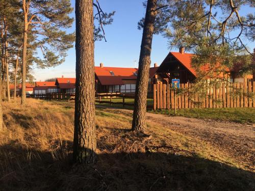 Sole in Unknown City, Poland