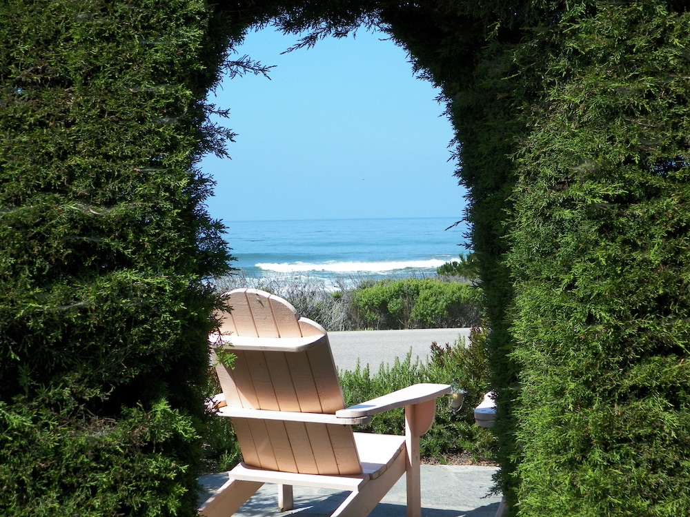 Sea Otter Inn - photo 47