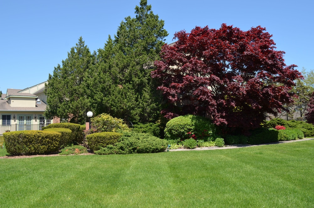 Southampton Inn - photo 50