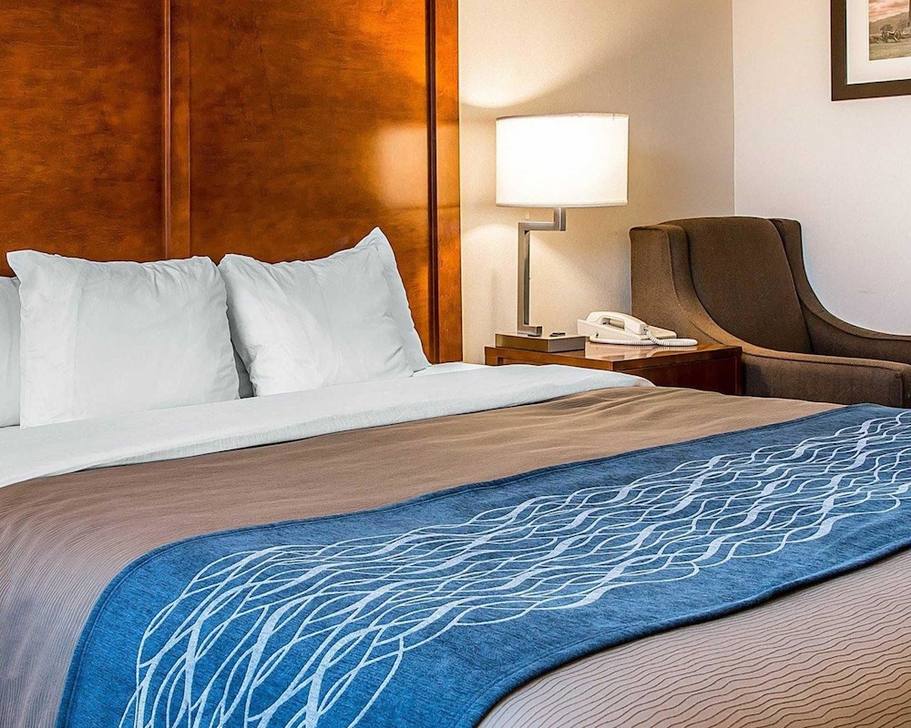 Bluffton Inn & Suites By IHG - photo 26