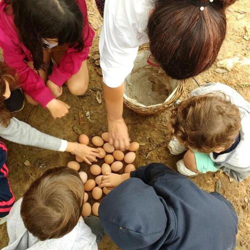 Fazenda Betânia in Maceio, Brasil