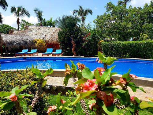 Solazul — 4-Star Luxury Hotel in Samana, Dominican Republic