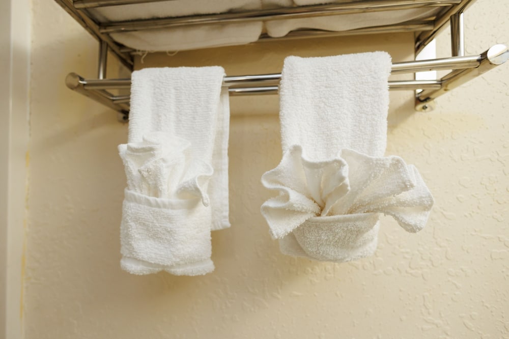 Garnet Inn & Suites Orlando - photo 95