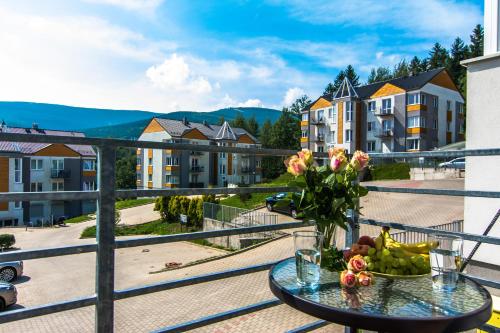 Apartamenty Izerskie 5730306 — Swieradow Zdroj