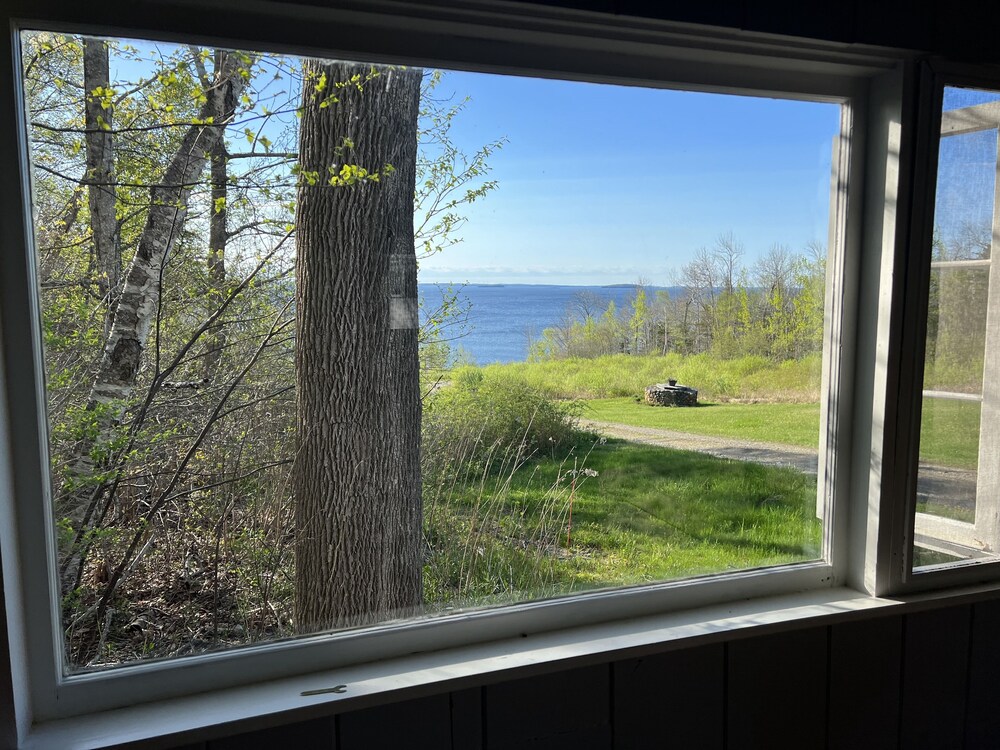The High Tide Inn - photo 6