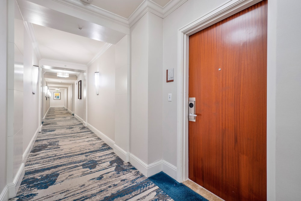 Palm Beach Singer Island Resort & Spa Luxury Suites - photo 46