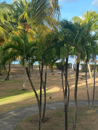Studio Le Frangipanier — 4-Star Luxury Hotel in Saint-Francois, Guadeloupe