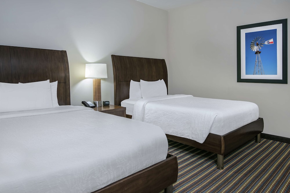 Hilton Garden Inn San Antonio At The Rim - photo 7