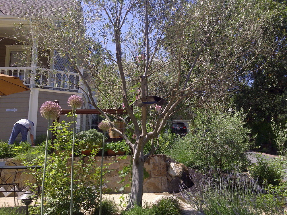The Chanric Inn - photo 19