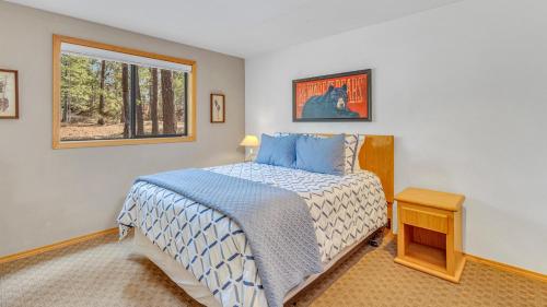 Coyote Lane 9 - photo 36