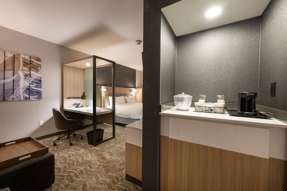 SpringHill Suites by Marriott Colorado Springs Downtown - photo 8