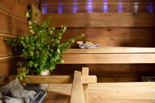 Krepelin Apartments — Kristinestad — photo 4