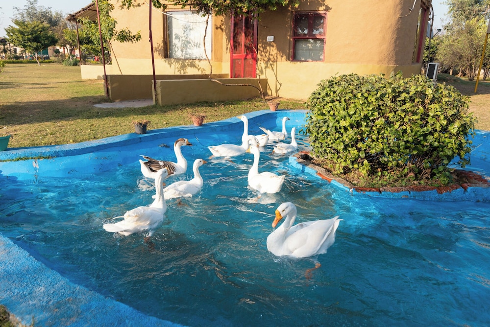 Arise Rustic Village Resort - last minute hotel in Unknown City