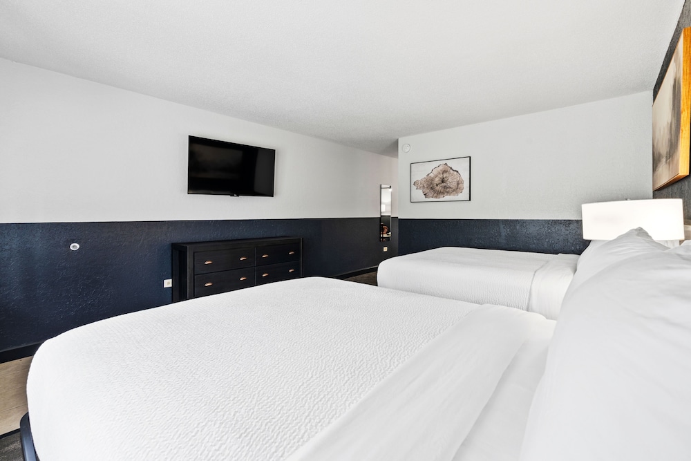 Tremont Lodge & Resort - photo 120