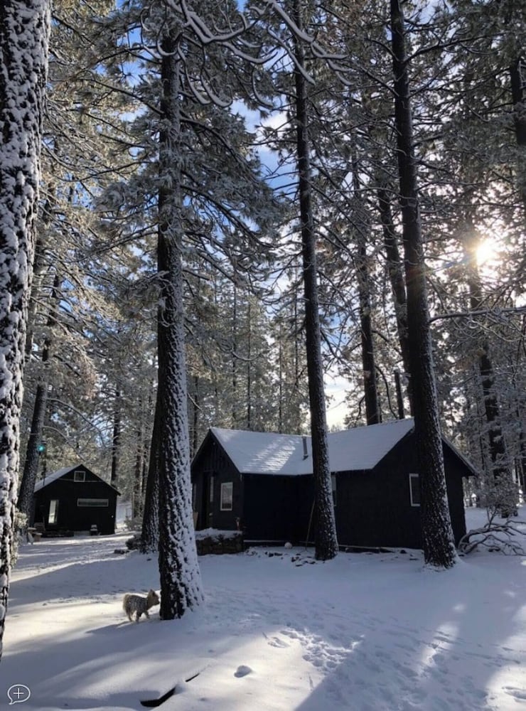 Colorado Lodge - photo 36