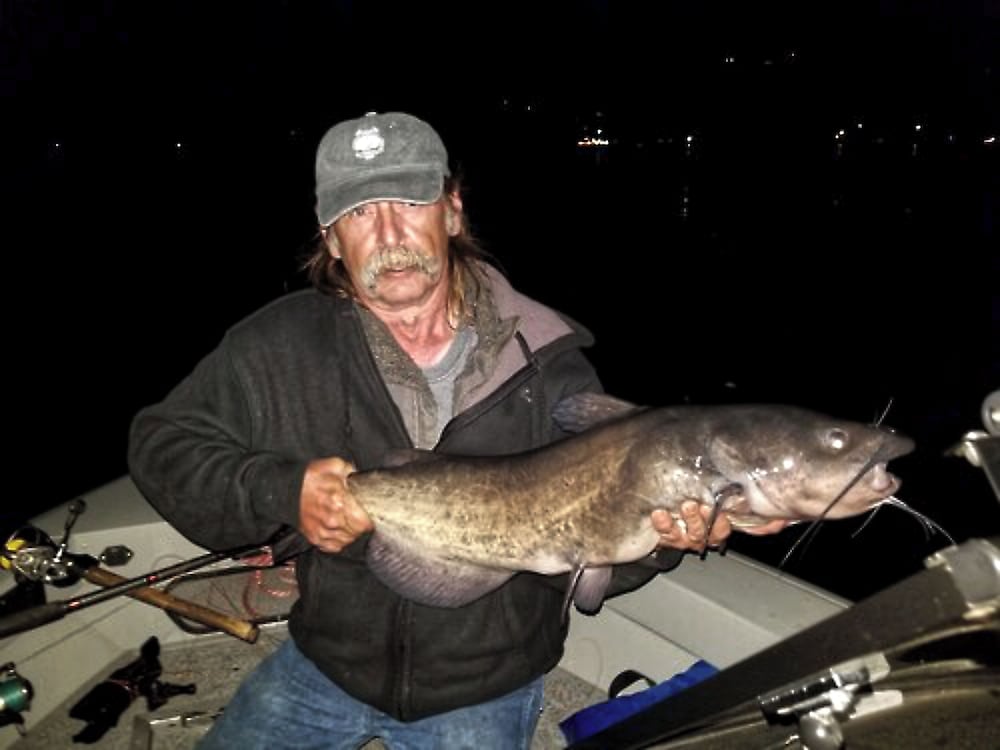 Blue Fish Cove Resort - photo 87
