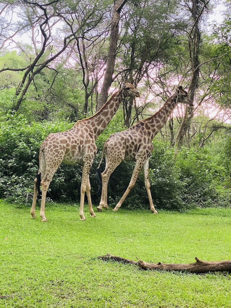 Sakae Paradise Resort in Lusaka, Zambia