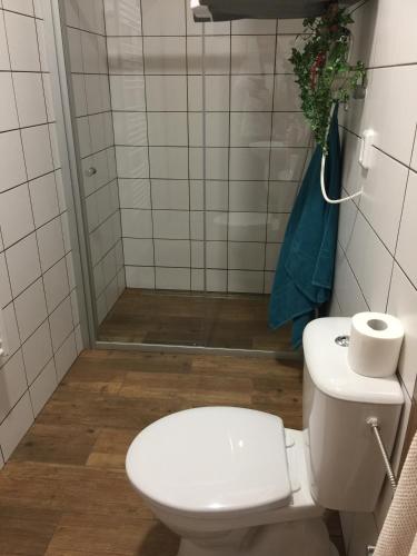 Penzion U Hujňáků — Rohatec — photo 2