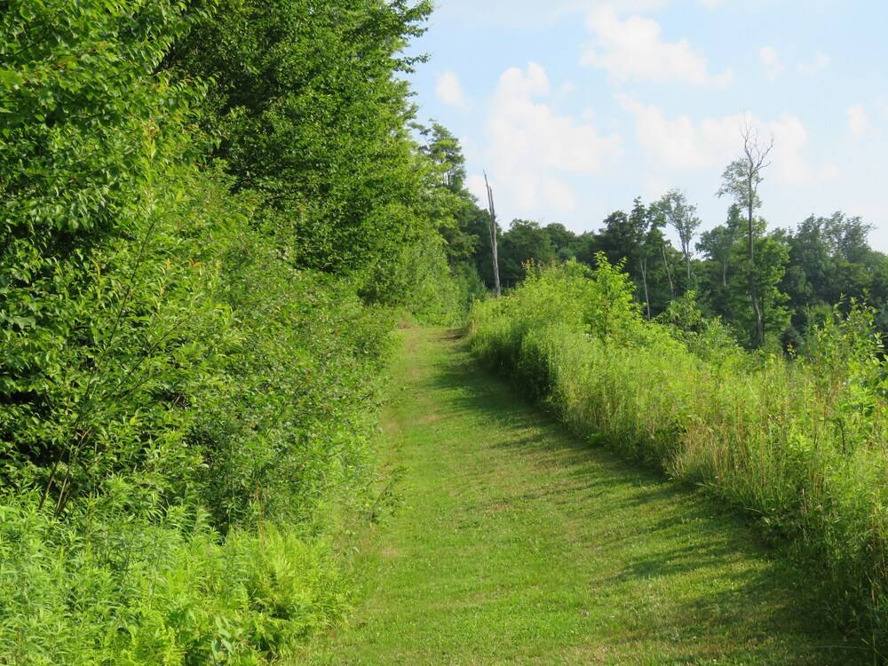 Tug Hill Resort - photo 36