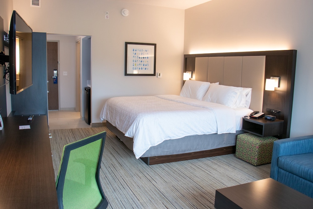 Holiday Inn Express and Suites Tuscaloosa East Cottondale - photo 5