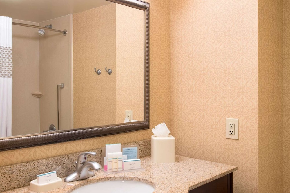 Hampton Inn Schenectady Downtown - photo 25