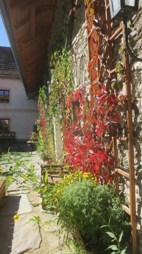 Penzion Vinicky dvůr — Kaplice — photo 5