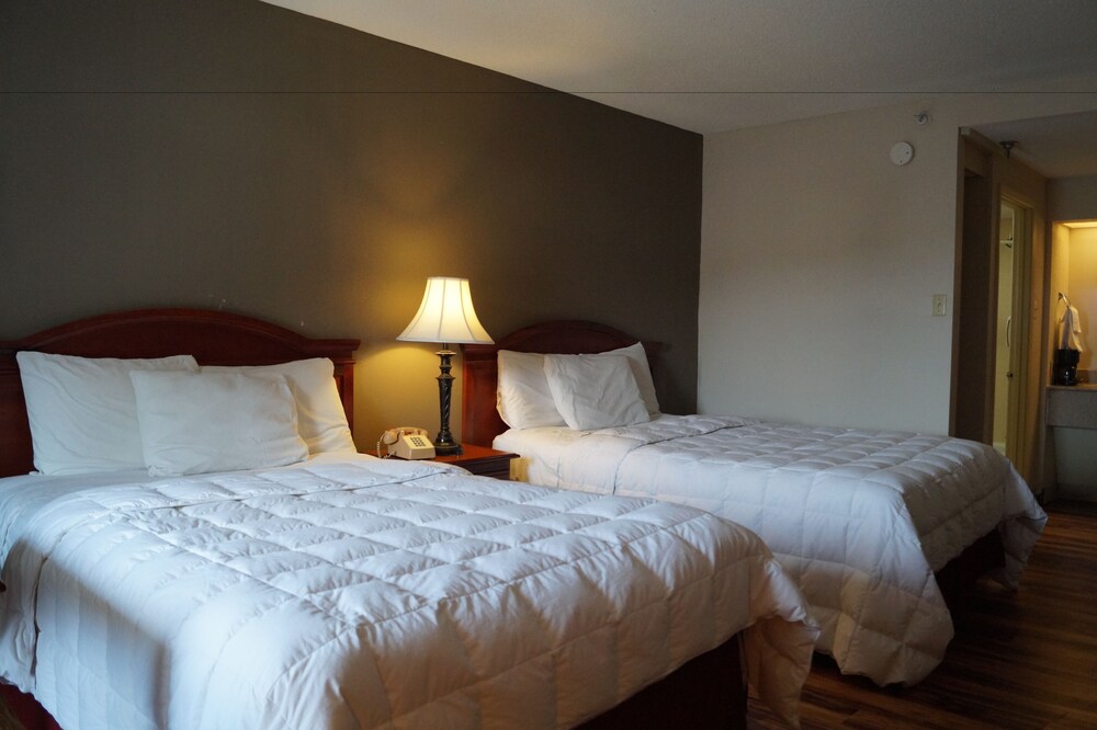 Bear Mount Inn & Suites - photo 8