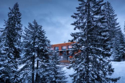 Guri i Kuq Hotel & Vila in Pec, Kosovo